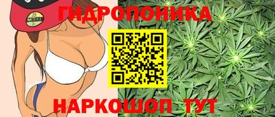 амф Дубна