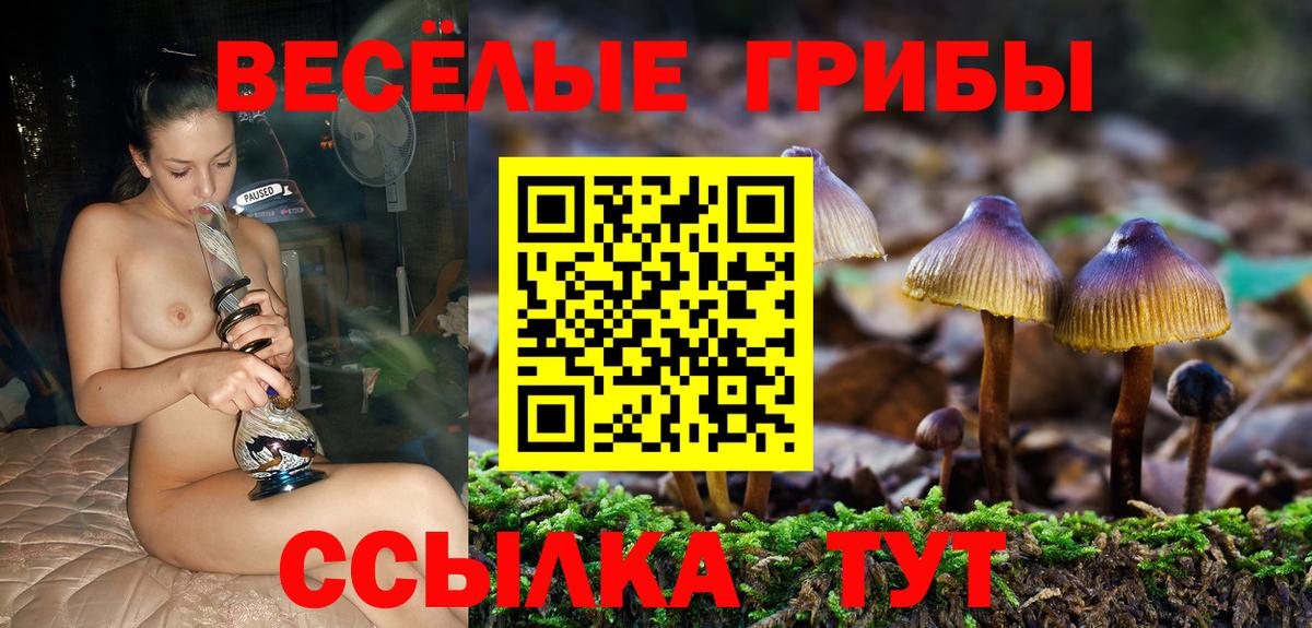 Псилоцибиновые грибы мухоморы  Вход с VPN  Нефтекумск  Галлюциногенные грибы мицелий 